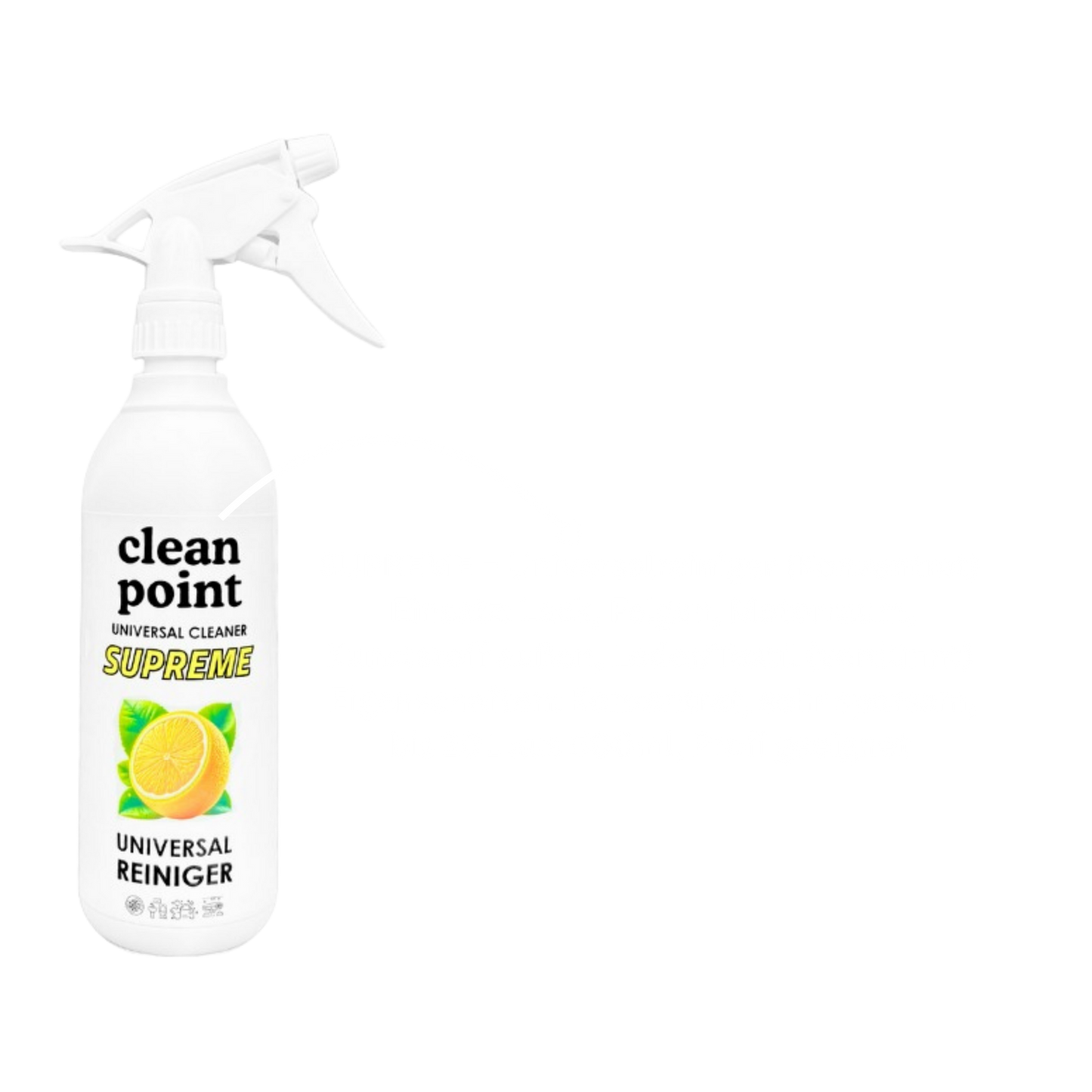 Clean Point Autopflege Probe-Set – 6× 500 ml Innen & Außen